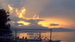 Mengarungi Laut Lovina di Bali Bersama Lumba-lumba