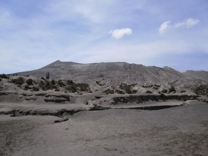 Mengarungi Lautan Pasir Demi Berdiri di Puncak Bromo