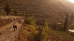 Mengejar Cahaya Emas di Bukit Sikunir, Dieng