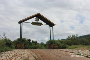 Mengembara di Alam Liar Afrika, Seru Banget!
