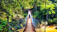 Jembatan gantung Tangkahan