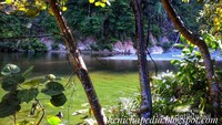 The Hiden Paradise, Tangkahan