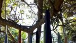 Mengenal Kain Tenun Ikat Asli Timor Tengah Selatan