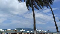 Lambaian pohon nyiur menambah kesejukan dan keindahan pantai.