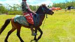 Mengenal Pesta Panen dari Negeri Para Usif NTT
