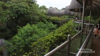 Jembatan tempat pengunjung mengamati kegiatan gorila