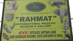 Mengenal Satwa di Museum dan Galeri Rahmat Medan