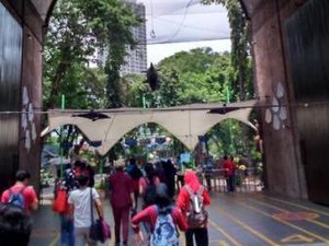Mengenal Singa Laut di Ancol