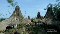 Rumah tradisional sumba yang disebut Uma