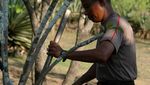 Mengenal Sosok Penjaga Ujung Timur Indonesia