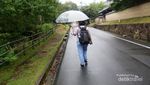 Mengenal Taman Rusa Abadi di Nara, Jepang