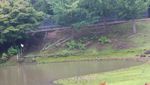 Mengenal Taman Rusa Abadi di Nara, Jepang