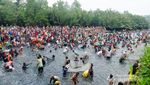 Mengenal Tradisi Menangkap Ikan Pusaka di Maluku