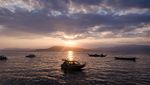 Mengenal Tradisi Menangkap Ikan Pusaka di Maluku