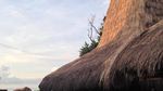 Mengenal Uma Bokulu, Rumah Adat Sumba yang Penuh Makna