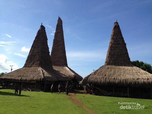 Mengenal Uma Bokulu, Rumah Adat Sumba yang Penuh Makna