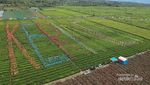 Mengenang Cerita Menarik Tour de Singkarak Etape Kerinci