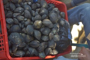 Mengenang Festival Kalandue yang Khas dari Kendari