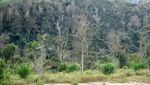 Mengenang Gunung Sinabung Pasca Erupsi