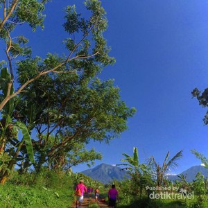 Mengenang Keseruan Ijen Green Run 2018