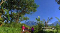 Ijen Green Run