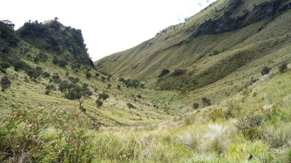 Menggapai Langit dari Puncak Gunung Merbabu