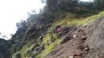 Menggapai Langit dari Puncak Gunung Merbabu