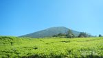 Menggapai Langit di Puncak Gunung Dempo
