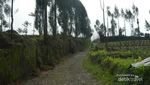 Menggapai Langit di Puncak Gunung Sumbing, Dahsyat!