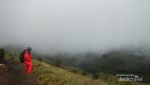 Menggapai Langit di Puncak Gunung Sumbing, Dahsyat!