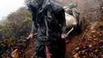 Menggapai Langit di Puncak Gunung Welirang