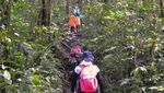 Menggapai Puncak Gunung Api Tertinggi di Asia Tenggara