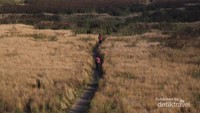 Oro oro ombo Gunung Semeru