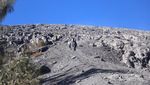 Menggapai Puncak Gunung yang Jadi Atapnya Pulau Jawa