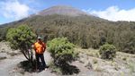Menggapai Puncak Gunung yang Jadi Atapnya Pulau Jawa