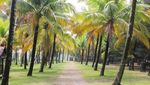 Menghabiskan Weekend di Pantai Pasie Jambak, Padang