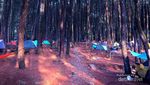 Menghilangkan Penat di Taman Nasional Gunung Halimun Salak