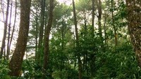 Trek yang tak mudah