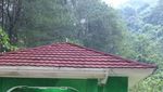 Menghilangkan Penat di Taman Nasional Gunung Halimun Salak