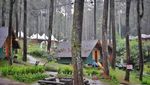 Menginap di Hutan Lembang, Mau Coba?