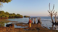 Pemandangan dari resort