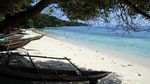 Mengintip Atraksi Tarian The Birds of Paradise di Raja Ampat