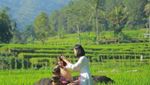 Mengintip Istana Batu Korsih Instagrammable di Majalengka