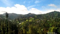 Lahan pertanian suku Tengger