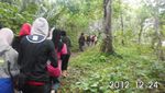Mengintip Kawanan Banteng Liar di Ujung Kulon