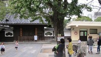 Taman TK di Asakusa yang dipenuhi oleh Ibu-Ibu muda Jepang