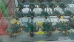 Mengintip Penangkaran Penyu di Bangka