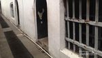 Mengintip Penjara Bawah Tanah Museum Fatahillah