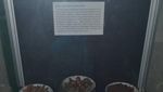 Mengintip Sejarah Penambangan Timah Di Museum Belitung