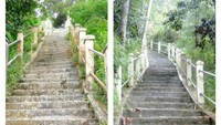 Tangga menuju puncak